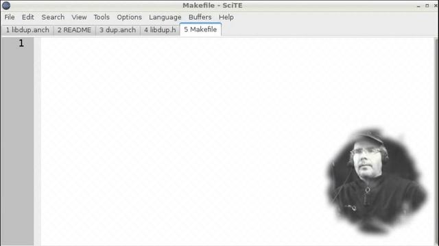 Make a DLL in C -- Introducing the Pseudocode Cross-Compiler смотреть онлайн
