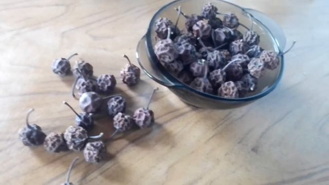 Строительные Загадки