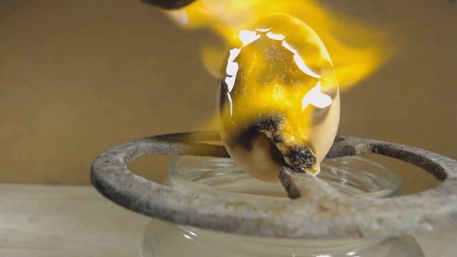 CRAZYSHOW: GAS TORCH VS EGG HD смотреть онлайн