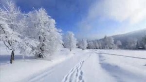 Цыганская песня ВЬЮГА