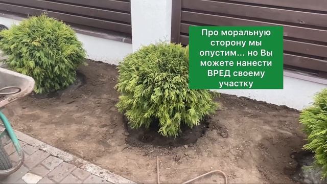Выбираем растение в питомнике | Секреты приживаемости | ландволга | корневая система | посадка смотреть онлайн