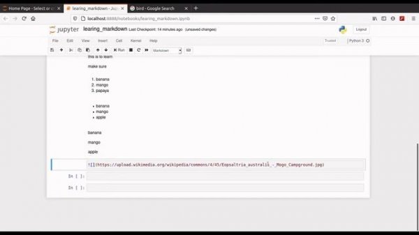 Introduction to markdown in jupyter notebook