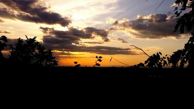 Звуки леса. Расслабляющая музыка.Один день на природе. Sounds of the forest. One day in nature смотреть онлайн