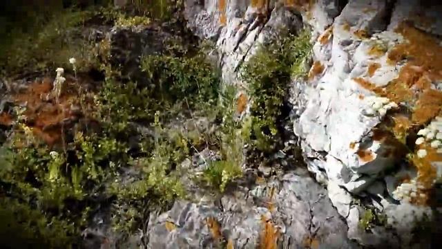Devil`s Finger смотреть онлайн