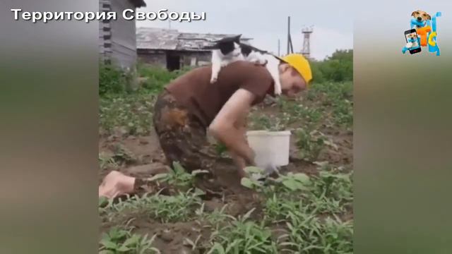 ПОКАТАЙ МЕНЯ ЛОШАДКА)))) смотреть онлайн