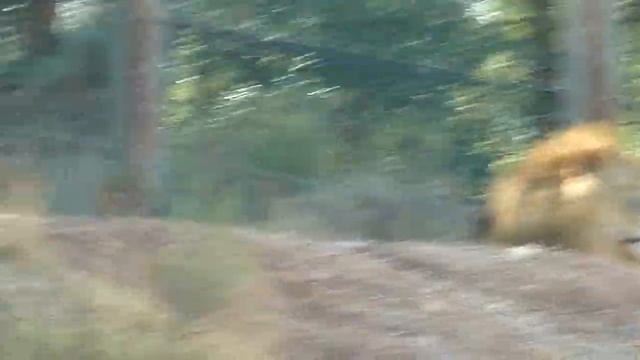 Прошла любовь.Завяли помидоры смотреть онлайн