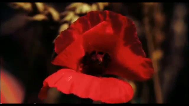 ХВАТИТ ДРЫХНУТЬ ЛЕЖЕБОКИ!)))ТАЯ ПРЕКРАТИ ХРАПЕТЬ!))) смотреть онлайн