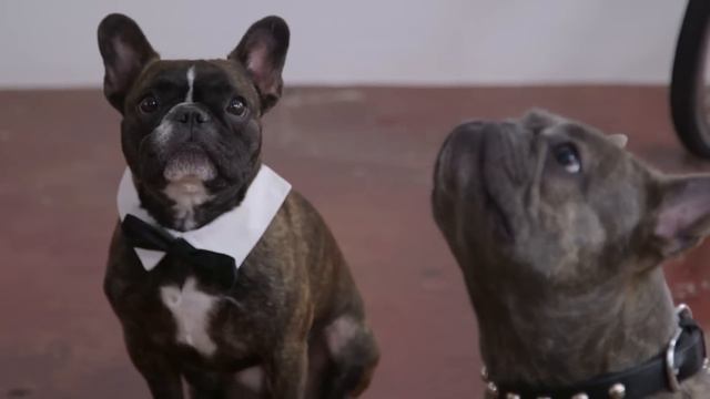 Double-Dog Dare Style | Get the Look смотреть онлайн