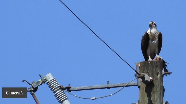 Zany Camera Shootout - Do Megapixels Really Matter - 2.1 Vs 12 Vs 16 Vs 24 MP