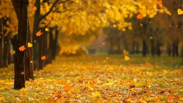 7. Sounds of the autumn forest. Звуки осеннего леса смотреть онлайн
