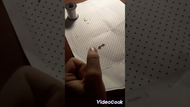 лягушка из бисера ?легко и просто смотреть онлайн