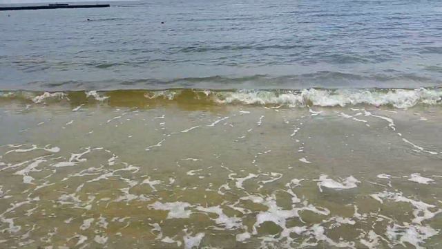 Одесса 14 июня 2023.Море грязное смотреть онлайн