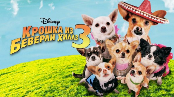 Крошка из Беверли-Хиллз 3 | Beverly Hills Chihuahua 3: Viva La Fiesta! (2012)