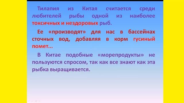 Качество филе телапии и как выращивают тилапию смотреть онлайн