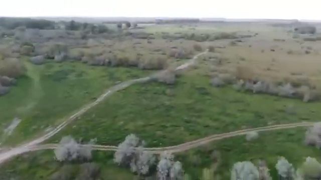 Сангиши смотреть онлайн