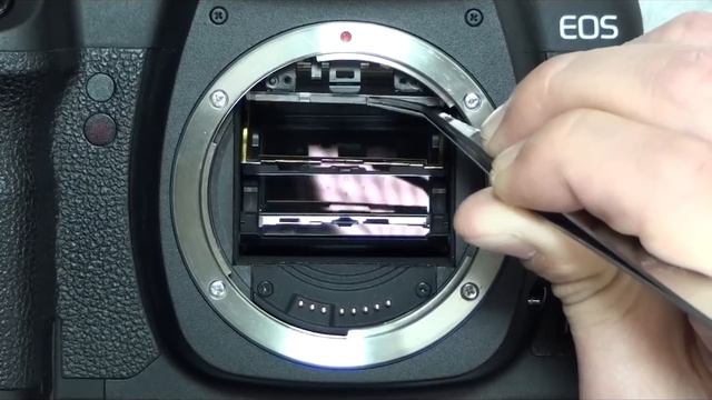How to remove dust inside finder. (Canon 5DMarkⅡ) смотреть онлайн