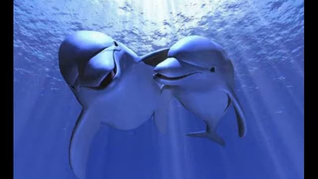 Картинки с дельфинами смотреть онлайн