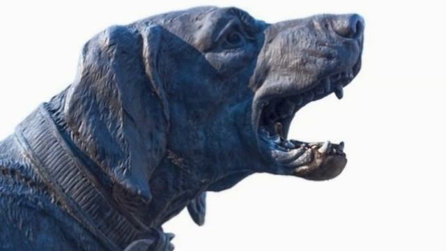 Ultrasonic dog repellent sound - Chase the dog away #stopdogs #staysafe #staystrong #dogs смотреть онлайн