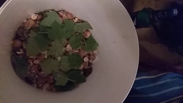 Уборка с профессионализмом