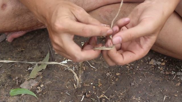 Primitive Technology: Make a Bow and Arrow смотреть онлайн