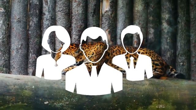 Мощные Дикие животные! Борьба Буйвол против Льва, Крокодил против Леопарда! смотреть онлайн