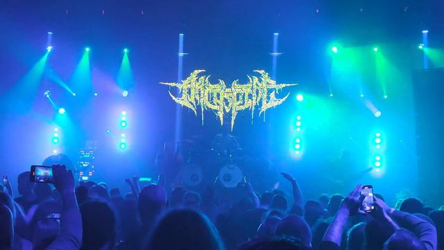Archspire - Drone Corpse Aviator Live,Budapest 2023 смотреть онлайн