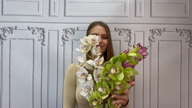 Купить орхидею #12 на FlowBeri ru смотреть онлайн