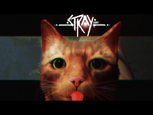 Я Кот нееште меня!!! (Stray) смотреть онлайн