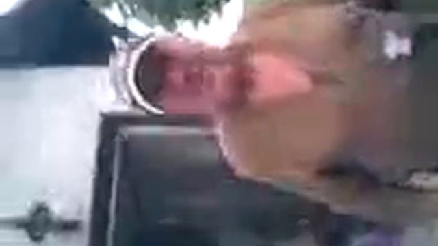 Grauer смотреть онлайн