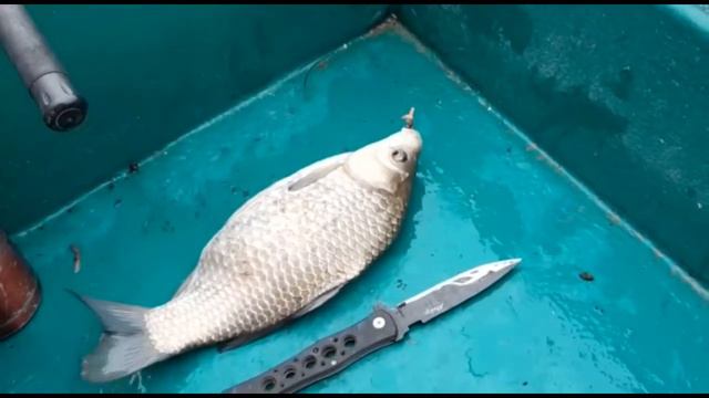 Рыбалка на карася (февраль 2020, Астраханская область) смотреть онлайн