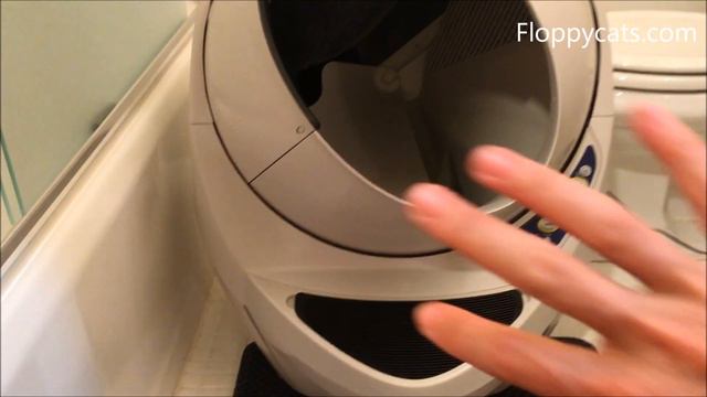 Litter Robot for Large Cats: How a Cat Fits in the Litter-Robot 3 Open-Air Automatic Litter Box смотреть онлайн
