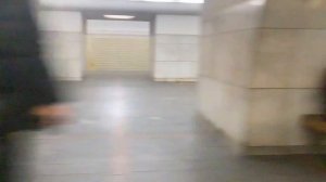 Поездка по Калужско-Рижской линии на Оке от Новоясеневской до Медведково