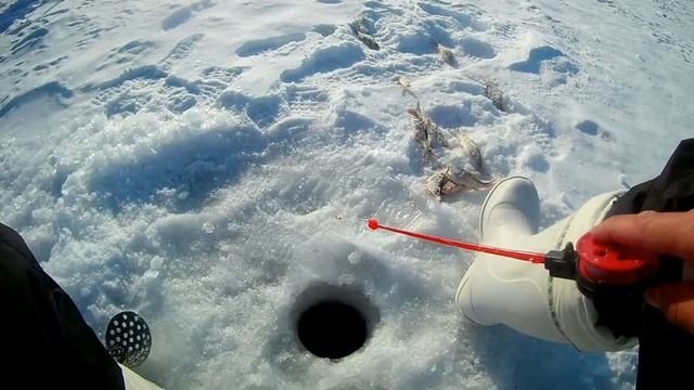 Ловим классную плотву! Рыбалка на Увильдах. смотреть онлайн