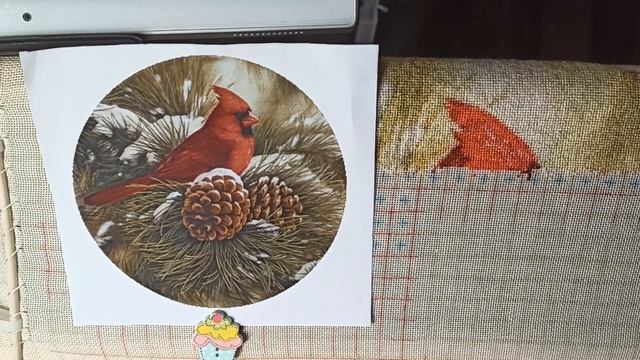 #34.Красный кардинал. Совсем не вышивальная пятидневка ((( смотреть онлайн