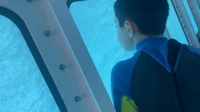 Learn about the Great Barrier Reef for Kids | Coral Reef for Kids | Sea Animals for Kids смотреть онлайн