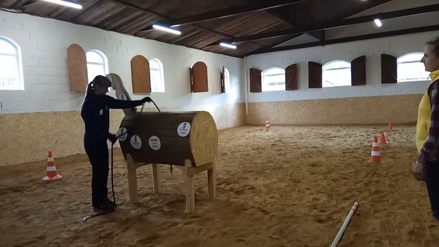 Тоня в роли лошади выполняет указания кликер-тренера. Ч1 смотреть онлайн