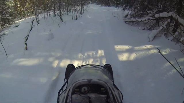 Тихонько тошним по лесу :) смотреть онлайн