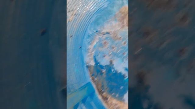 loaded pan , yummy gold смотреть онлайн