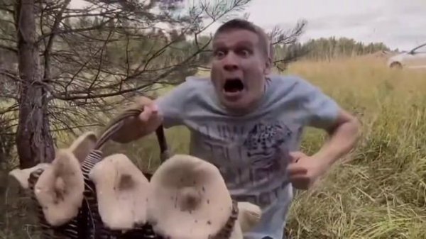 Малой с Серёгой танцуют под грибами (1час)