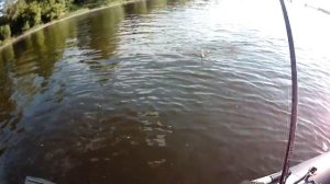 Троллинг 2021. Хитрость заглубления воблера, хороший клёв щуки