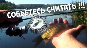 Моя ЛУЧШАЯ Рыбалка на КАРАСЯ! СБИЛСЯ СЧИТАТЬ! Мормышинг 2024