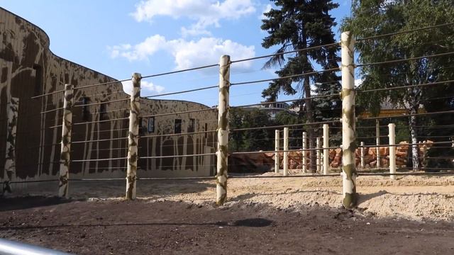 Слон в зоопарке Харькова 23 августа 2021 смотреть онлайн