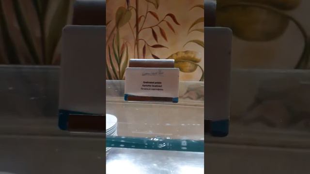 харчування в готелі Caribbean World Resort Хургада травень 2021р4 смотреть онлайн