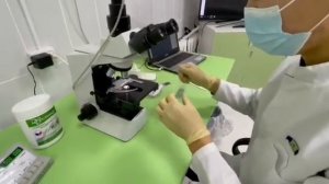 Мастер класс "Подсчёт лейкоцитарной формулы"