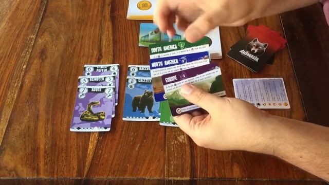 Animalia: Preventing Extinction - Part 1: Game Set Up | JLTEI