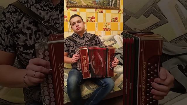 Гармонь цельнопланочная трехголосая Си мажор