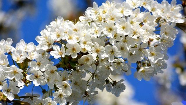 Признаки внутреннего энергетического воздействия ваших собственных внутренних качеств.