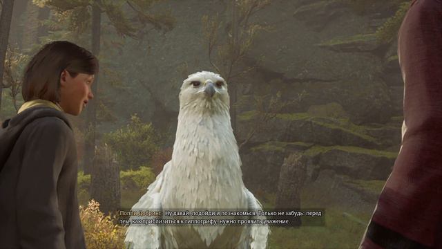 Hogwarts Legacy (Хогвардс Легаси) — 🧹Meet the Hippogriff named Wylanna смотреть онлайн