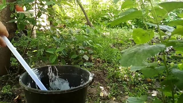 Ручной насос для откачки воды с аквариума. смотреть онлайн