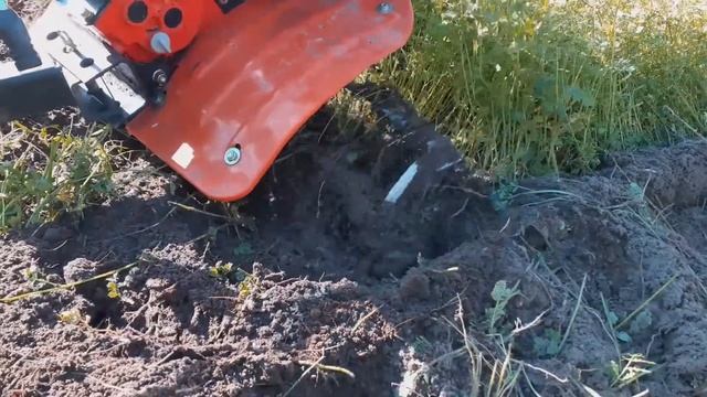 перекапываем горчицу без скашивания мотоблоком рысь с роторами смотреть онлайн